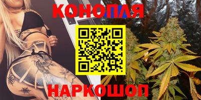 сатива Моздок