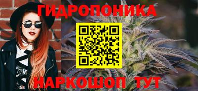 сатива Моздок