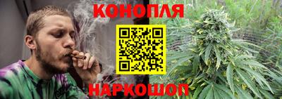 ешки Можга