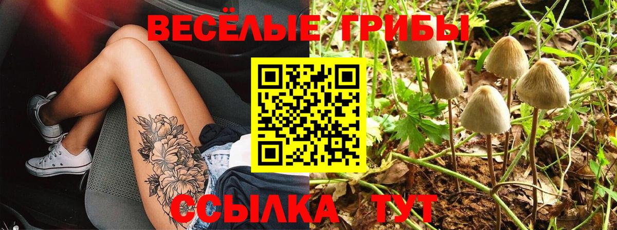 Советск  Псилоцибиновые грибы MAGIC MUSHROOMS  Вход с VPN 